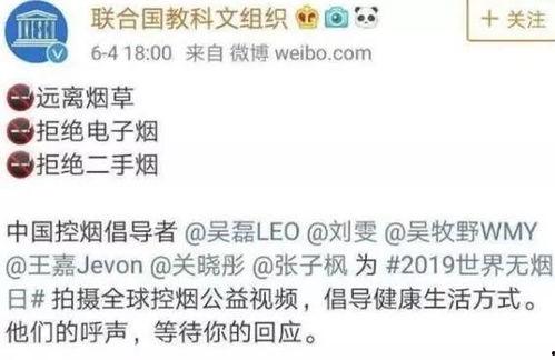 吃瓜大会招标,一场舌尖上的狂欢盛宴